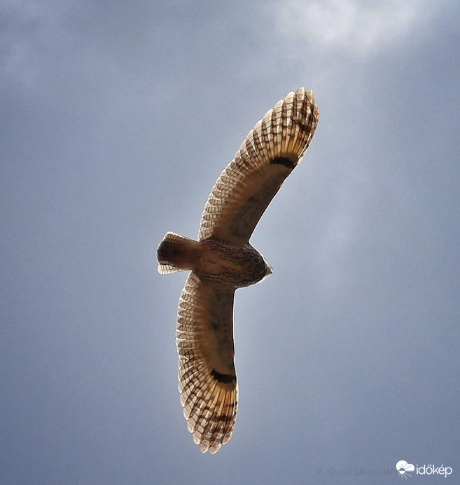 Nem mindennapi látvány 