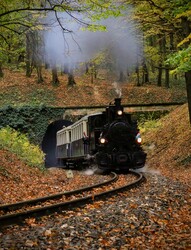 Megy a gőzös, megy a gőzös...