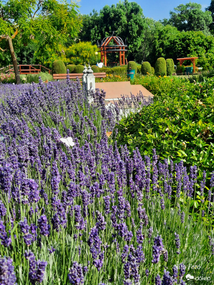 Szarvasi Arborétum: Mini Magyarország