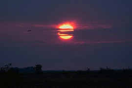 Lemenő nap