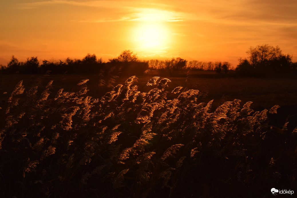 Naplemente előtti órák 