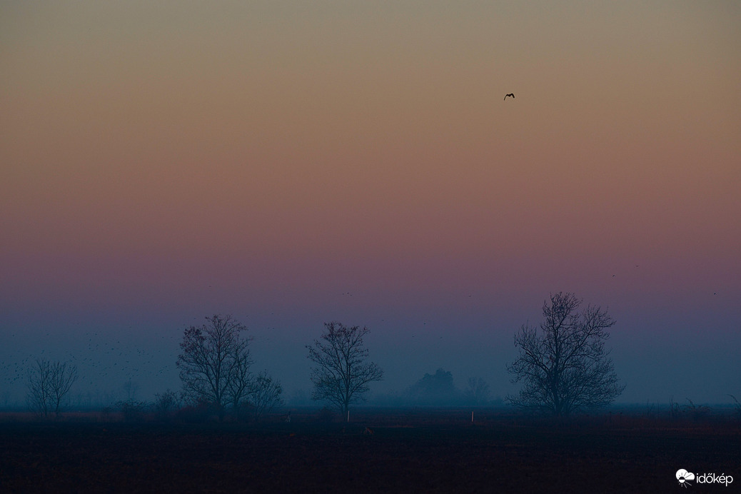 Őszi, ködös reggel Dévaványán