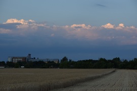 Színkavalkád... (2025. 06. 27.)