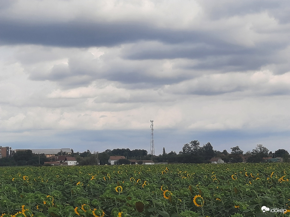 Dévaványa ma délután 