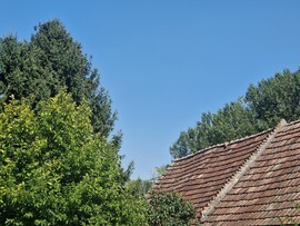 Nóráp