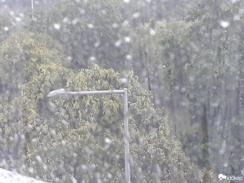 Budapest X.ker - Téglagyárdűlő