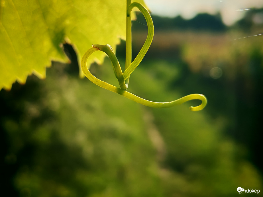 Jó lenne megkapaszkodni... 
