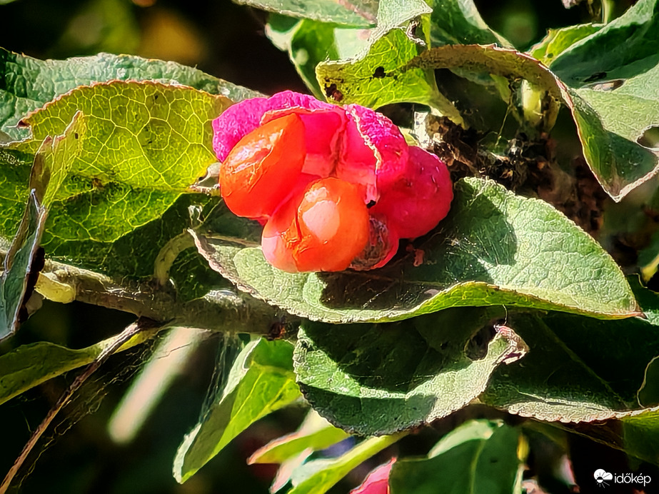 Mindjárt lepattanok. 