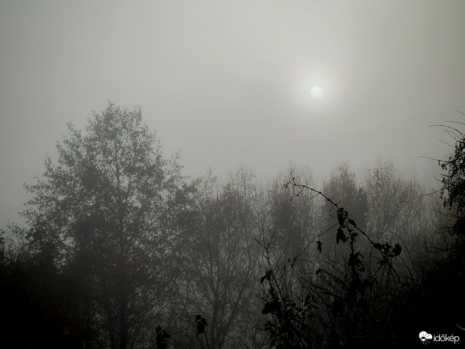 Bágyadt napfelkelte. 