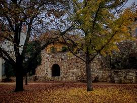 Sétáló utcai park. 