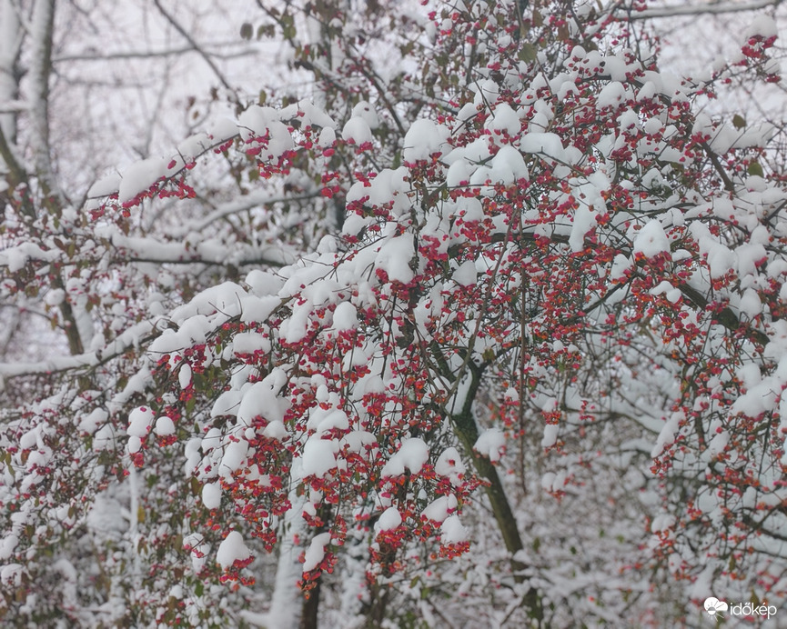 Mindent hó borít. 