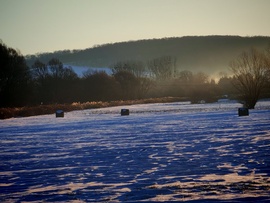 Hideg reggel. - 9fok