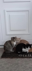Együtt a rakás. 