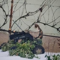 Jönnek a tavaszi munkák..? 