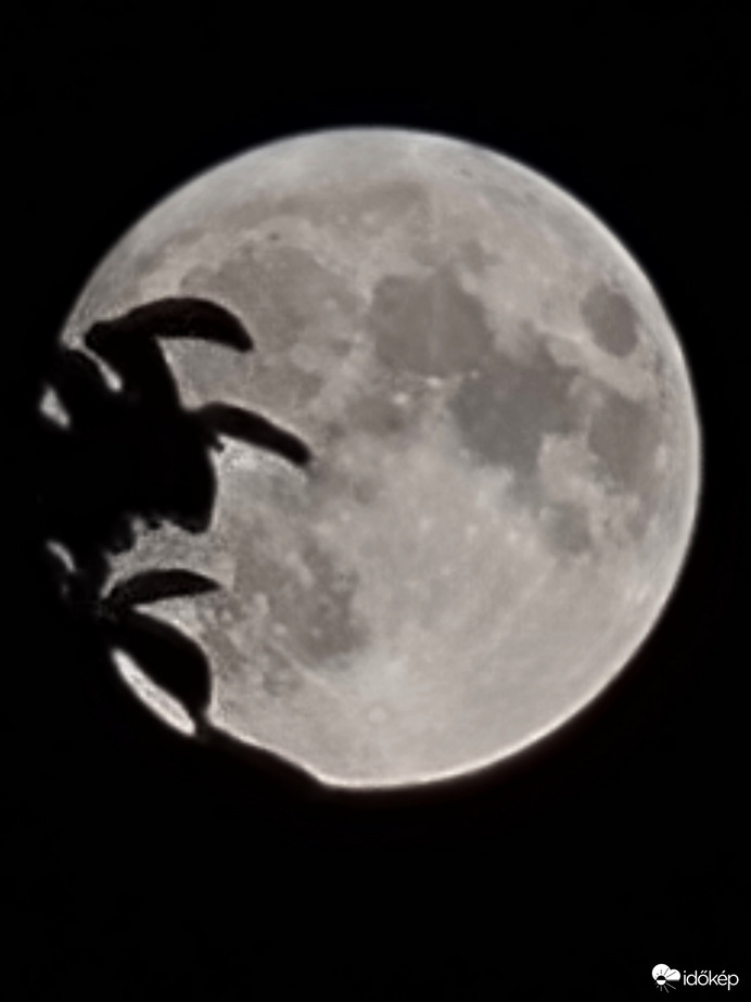 Észlelési fényképek