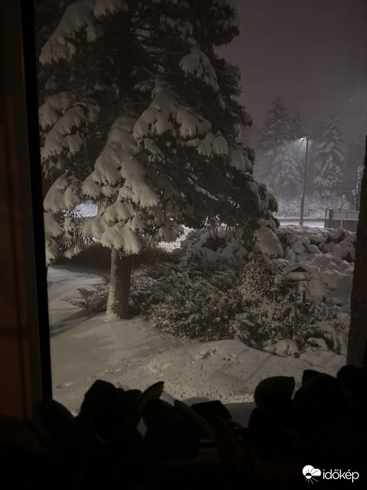 Észlelési fényképek