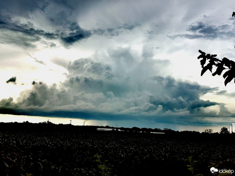 Észlelési fényképek