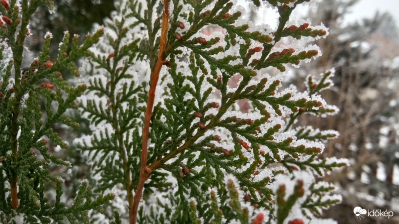 Észlelési fényképek