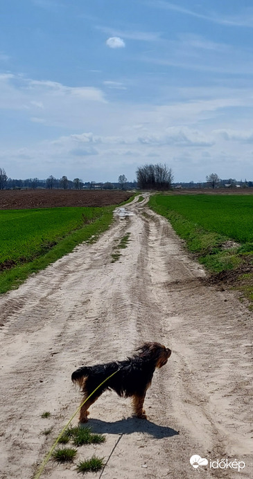 Nálunk nagyon erős szél fúj 
