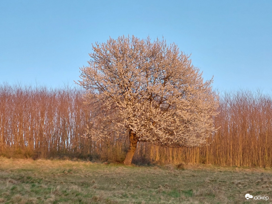 Lemenő nap fényében