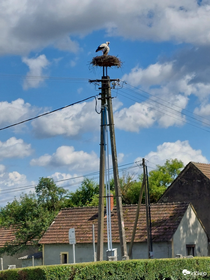 Garabonci gólyafészek