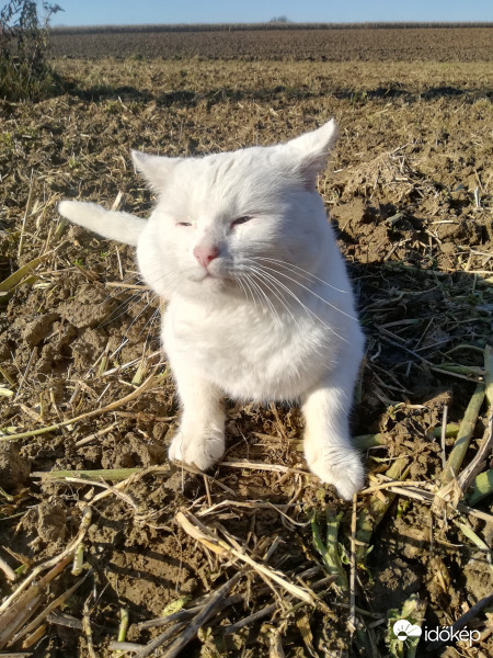 Elégedett kirándulótársam megpihent 