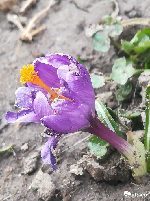 Lehet, hogy ma neki is fontos napja van