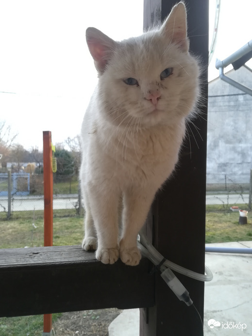 Egy zűrös munkanap után... 