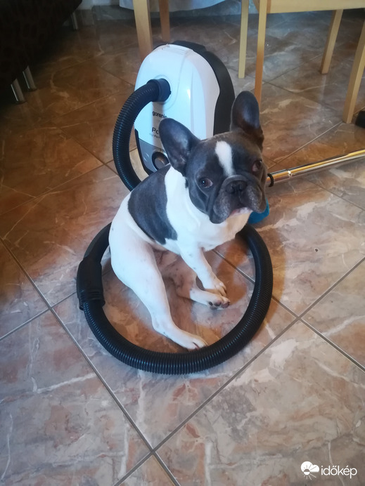 Van, aki áll a kör közepén és van, aki ül 