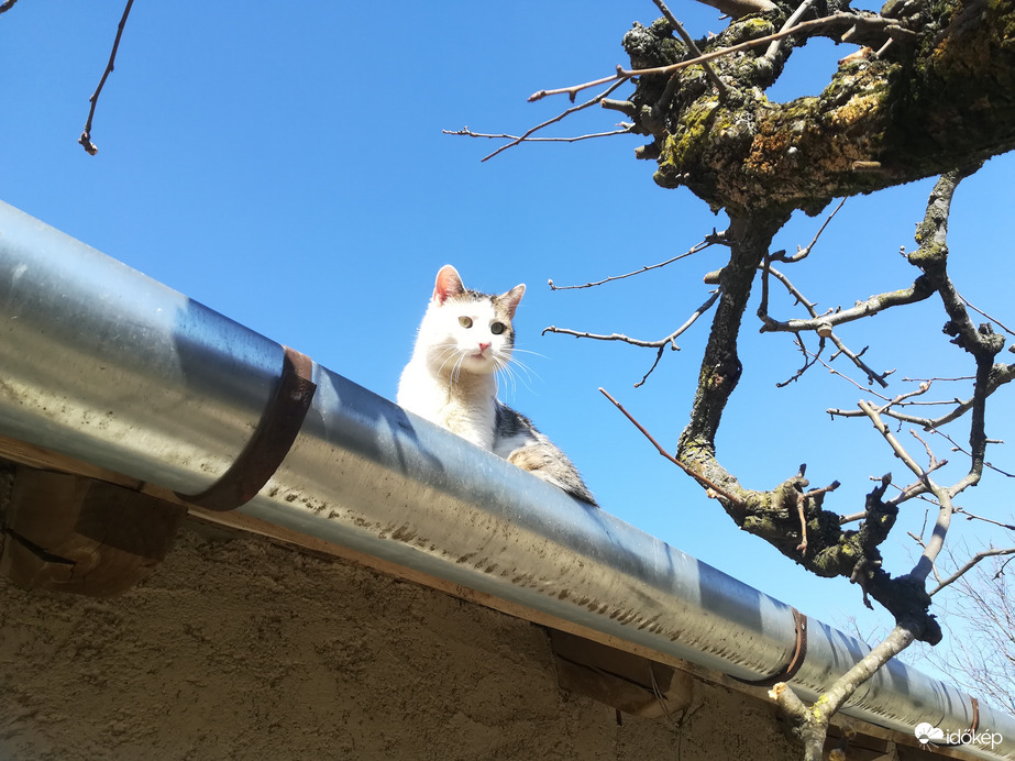 Nálunk 100 ágra süt a napocska :) 