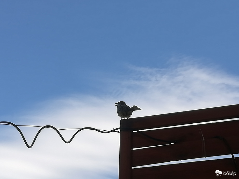 "Anya, ne hagyj itt!" 