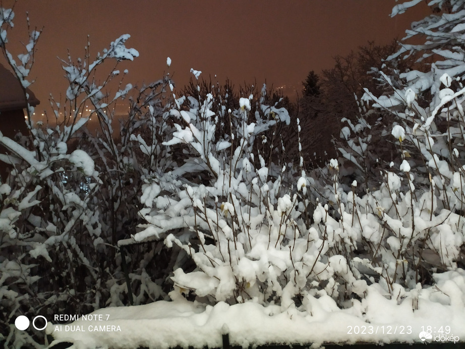 Észlelési fényképek