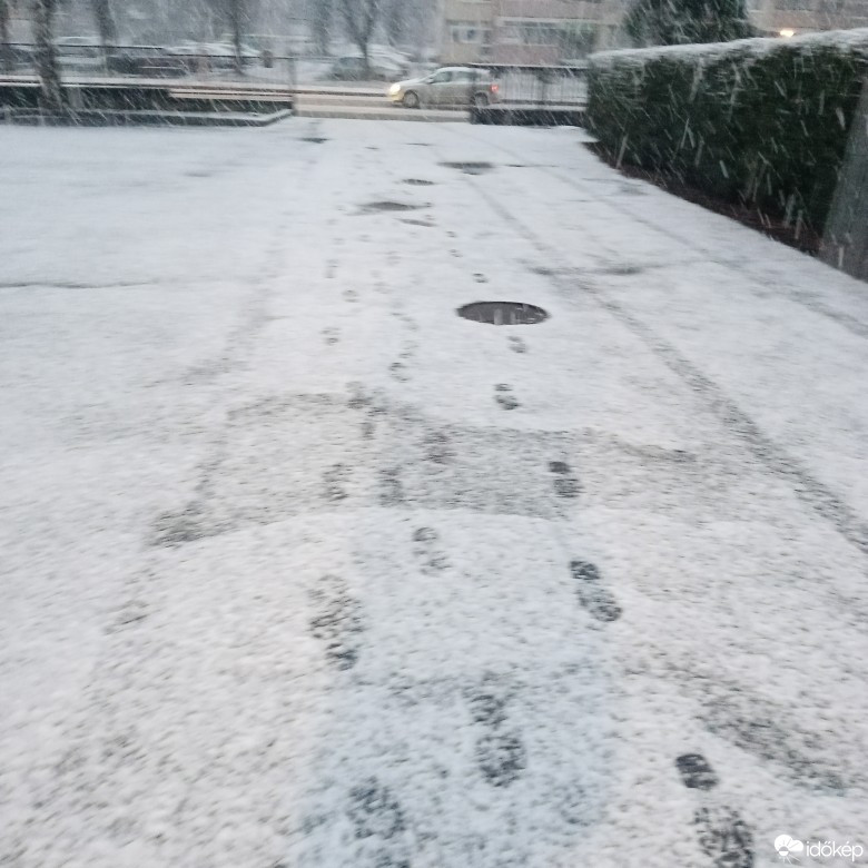 Észlelési fényképek