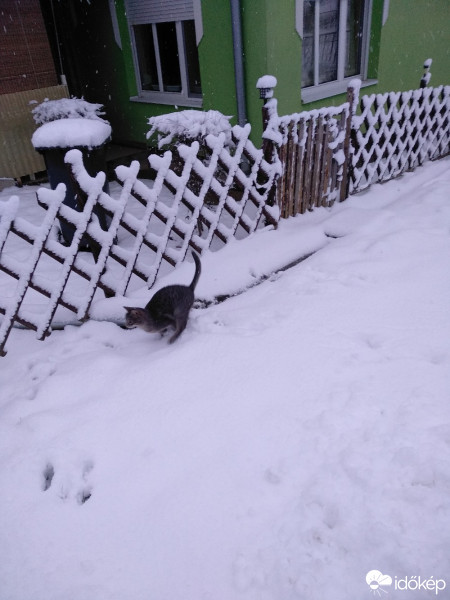 Észlelési fényképek