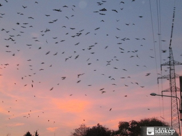 Észlelési fényképek