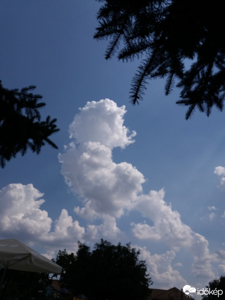 Észlelési fényképek