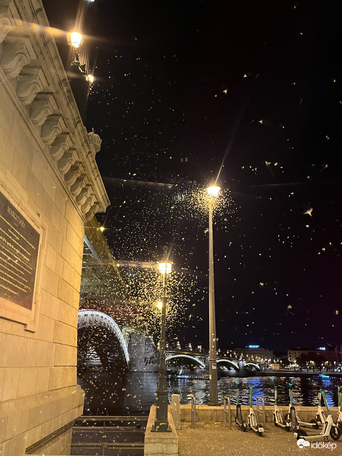 Észlelési fényképek