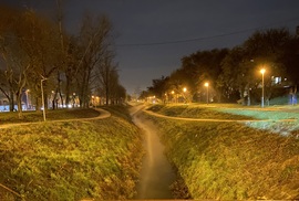 Páracsík a Rákos-patak felett