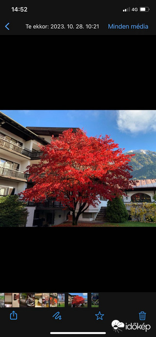 Észlelési fényképek