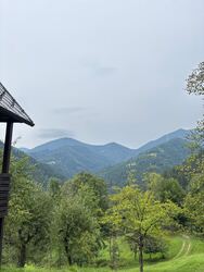 Zali Log