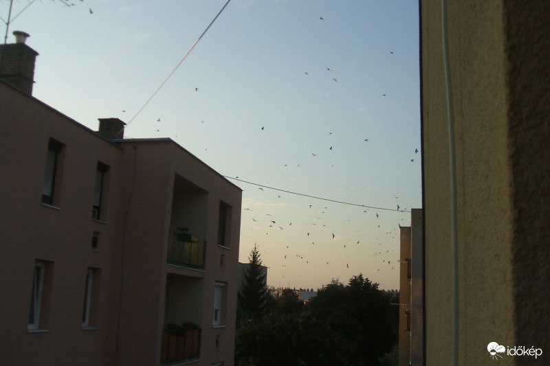 Észlelési fényképek