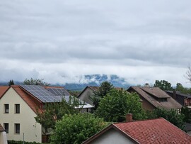 Dorog