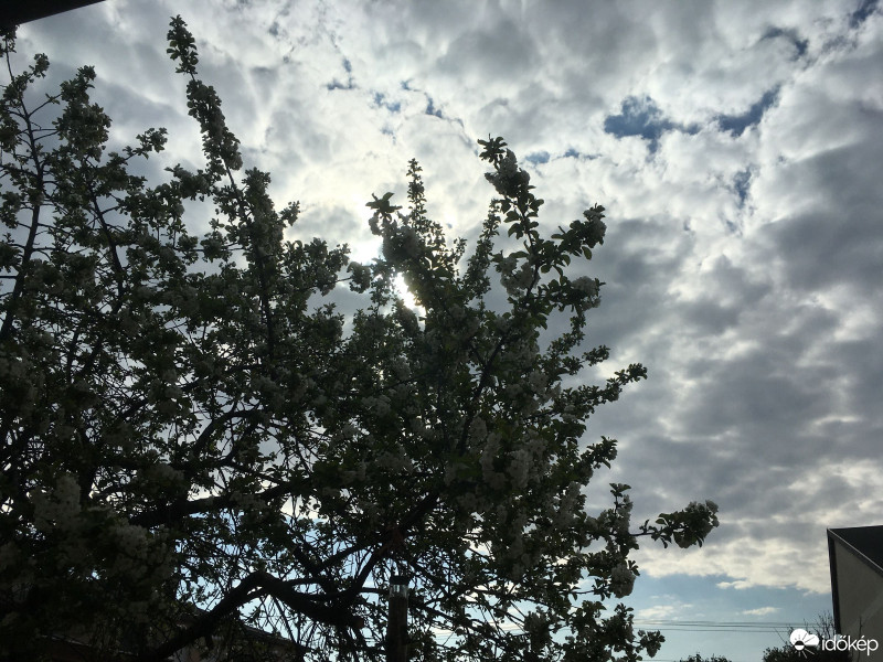 Észlelési fényképek