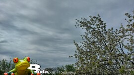Budapest II.ker - Törökvész