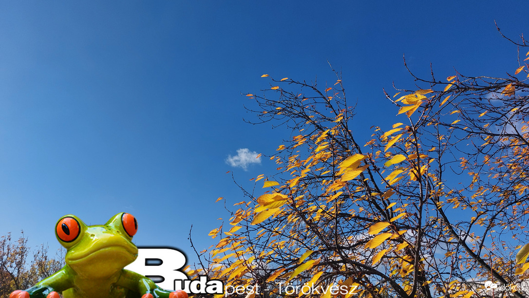 Budapest II.ker - Törökvész