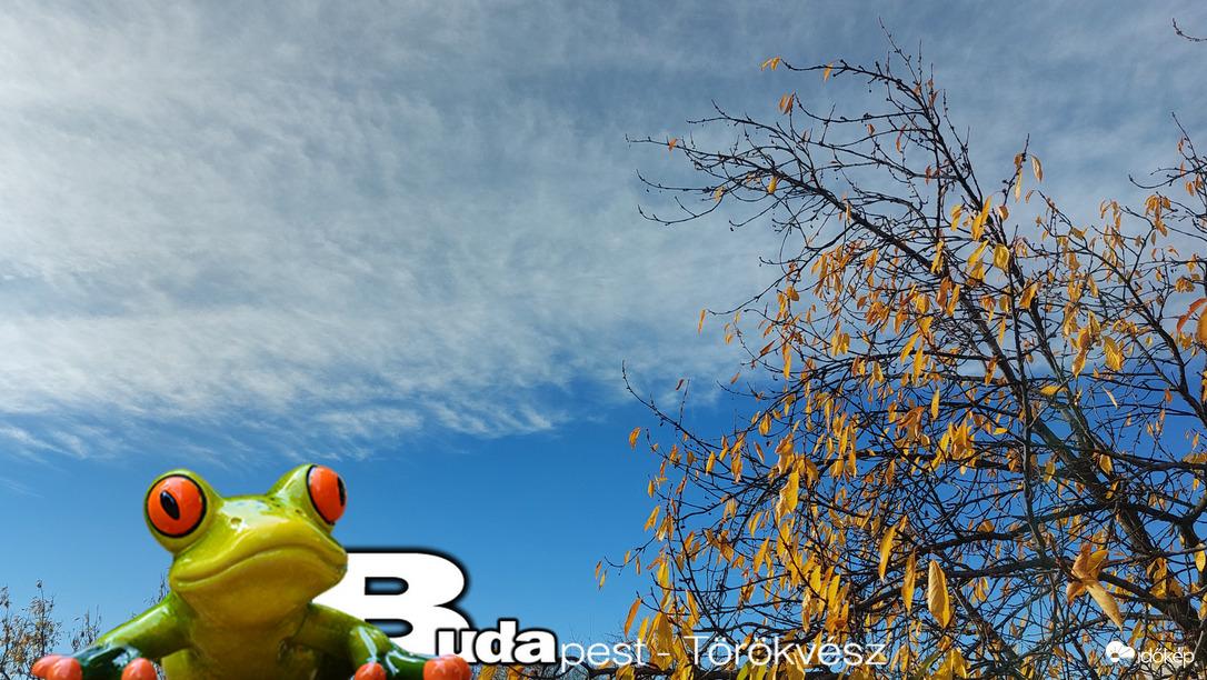 Budapest II.ker - Törökvész