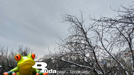 Budapest II.ker - Törökvész