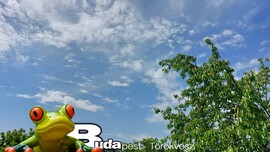 Budapest II.ker - Törökvész