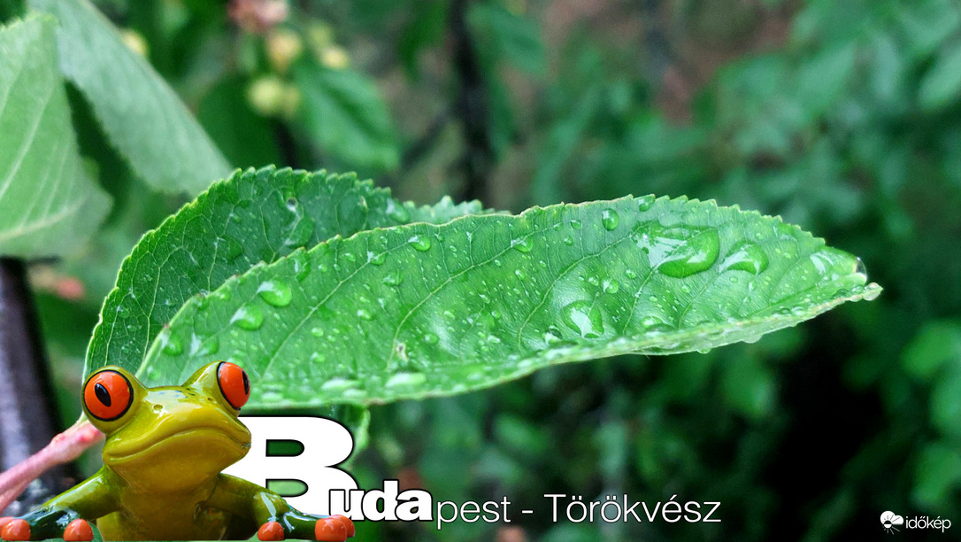 Budapest II.ker - Törökvész