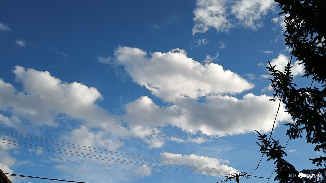 Észlelési fényképek